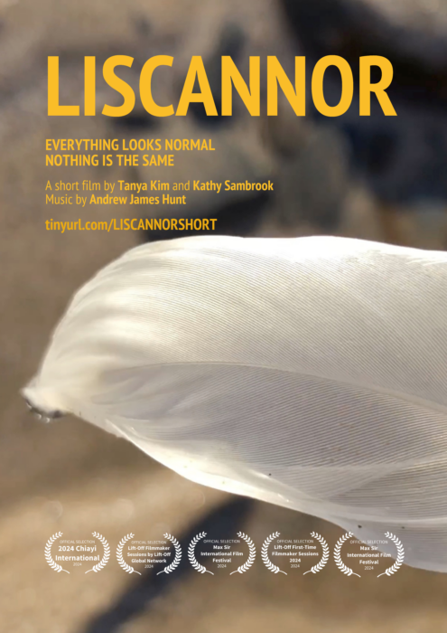 Liscannor Short Film Poster